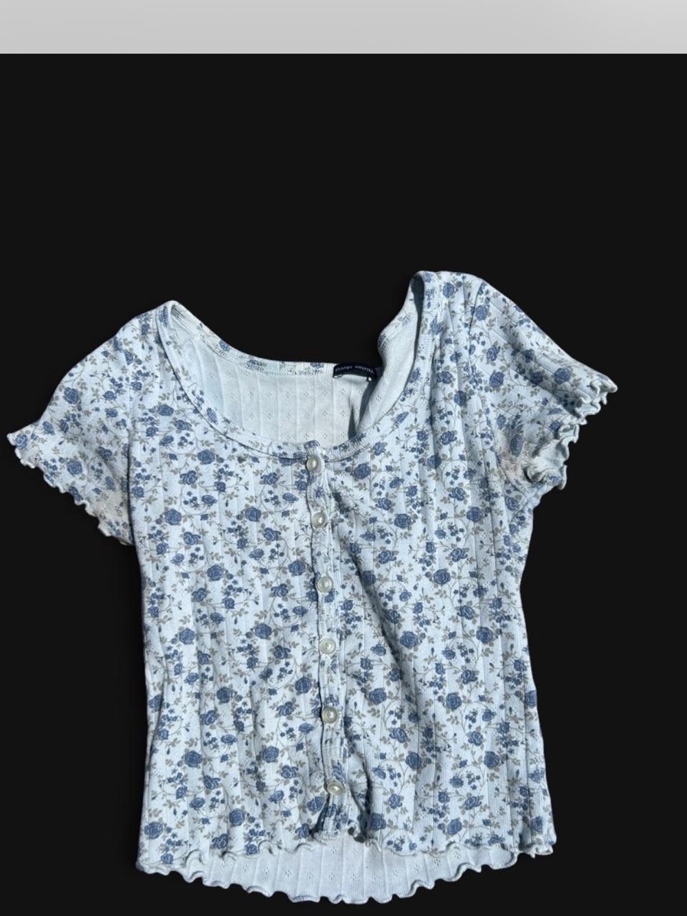 Brandy Melville Blue Floral Button-Down Scoop Top